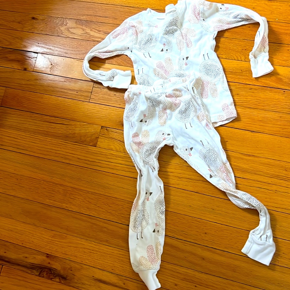 Carters turkey print 2 piece pajamas size 3t